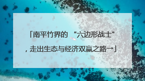 南平竹界的 “六边形战士”，走出生态与经济双赢之路→