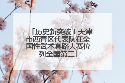 历史新突破！天津市西青区代表队在全国性武术套路大赛位列全国第三