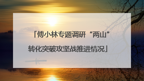 傅小林专题调研“两山”转化突破攻坚战推进情况