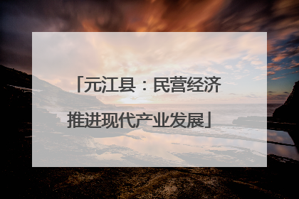 元江县：民营经济推进现代产业发展