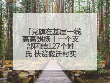 党旗在基层一线高高飘扬丨一个支部团结127个姓氏 扶贫搬迁村实现振兴嬗变