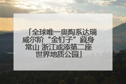 全球唯一奥陶系达瑞威尔阶“金钉子”藏身常山 浙江或添第二座世界地质公园