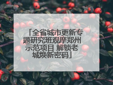 全省城市更新专题研究班观摩郑州示范项目 解锁老城焕新密码