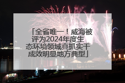 全省唯一！威海被评为2024年度生态环境领域真抓实干成效明显地方典型