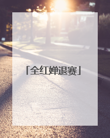 全红婵退赛