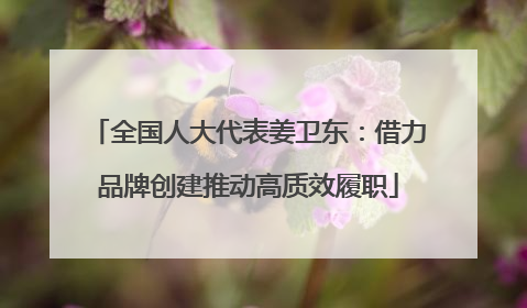 全国人大代表姜卫东：借力品牌创建推动高质效履职