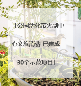 公园活化带火副中心文旅消费 已建成30个示范项目