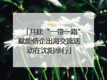 共建“一带一路”赋能侨企出海交流活动在沈阳举行
