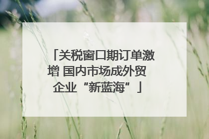 关税窗口期订单激增 国内市场成外贸企业“新蓝海”