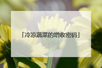 冷凉蔬菜的增收密码