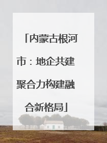 内蒙古根河市：地企共建聚合力构建融合新格局