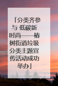 分类齐参与 低碳新时尚——椿树街道垃圾分类主题宣传活动成功举办