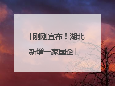 刚刚宣布！湖北新增一家国企