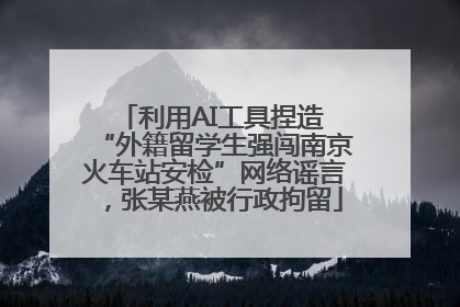 利用AI工具捏造 “外籍留学生强闯南京火车站安检”网络谣言，张某燕被行政拘留
