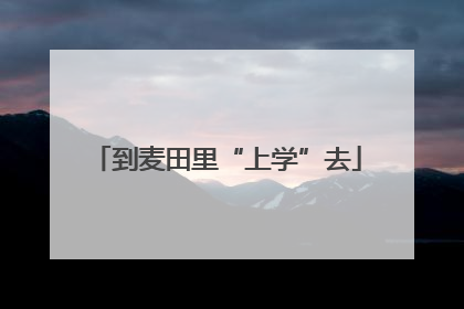 到麦田里“上学”去