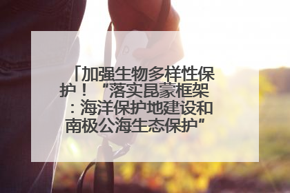 加强生物多样性保护！“落实昆蒙框架：海洋保护地建设和南极公海生态保护”主题论坛将举办