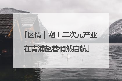 区情｜潮！二次元产业在青浦赵巷悄然启航