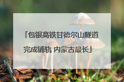 包银高铁甘德尔山隧道完成铺轨 内蒙古最长