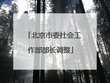 北京市委社会工作部部长调整