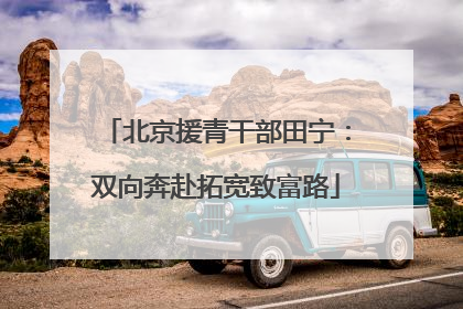 北京援青干部田宁：双向奔赴拓宽致富路