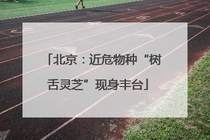 北京：近危物种“树舌灵芝”现身丰台