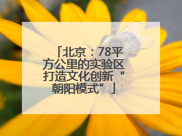 北京：78平方公里的实验区打造文化创新“朝阳模式”