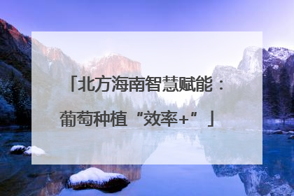 北方海南智慧赋能：葡萄种植“效率+”