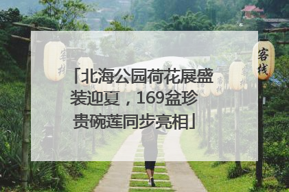 北海公园荷花展盛装迎夏，169盆珍贵碗莲同步亮相