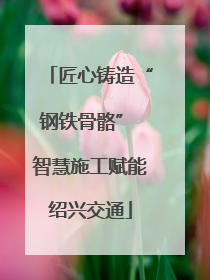匠心铸造“钢铁骨骼” 智慧施工赋能绍兴交通
