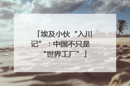埃及小伙“入川记”：中国不只是“世界工厂”