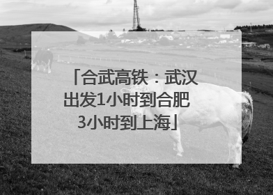 合武高铁：武汉出发1小时到合肥3小时到上海