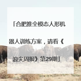 合肥推全模态人形机器人训练方案，请看《浪尖周报》第29期