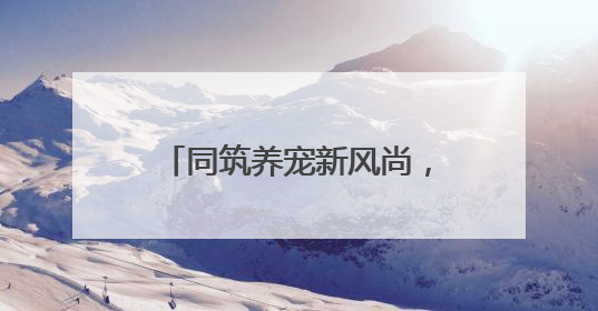 同筑养宠新风尚，小细节彰显大文明