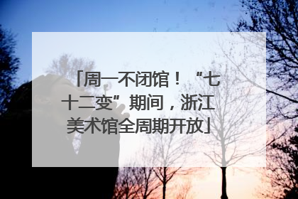 周一不闭馆！“七十二变”期间，浙江美术馆全周期开放