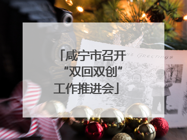 咸宁市召开“双回双创”工作推进会
