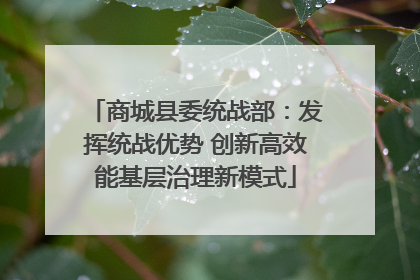 商城县委统战部：发挥统战优势 创新高效能基层治理新模式