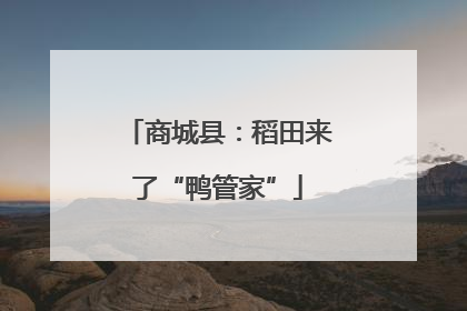 商城县：稻田来了“鸭管家”