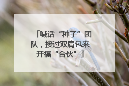 喊话“种子”团队，接过双肩包来开福“合伙”