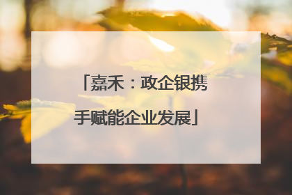 嘉禾：政企银携手赋能企业发展