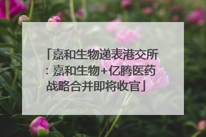 嘉和生物递表港交所：嘉和生物+亿腾医药战略合并即将收官