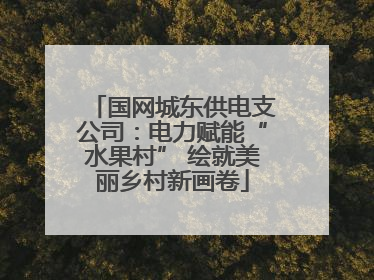 国网城东供电支公司：电力赋能“水果村” 绘就美丽乡村新画卷
