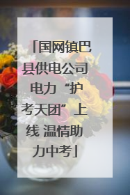 国网镇巴县供电公司 电力“护考天团”上线 温情助力中考