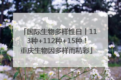 国际生物多样性日丨113种+112种+15种！重庆生物因多样而精彩