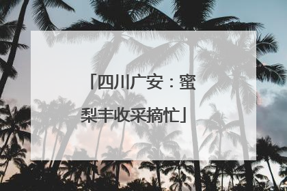 四川广安：蜜梨丰收采摘忙