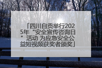 四川自贡举行2025年“安全宣传咨询日”活动 为应急安全公益短视频获奖者颁奖