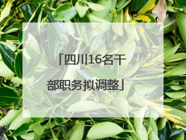 四川16名干部职务拟调整