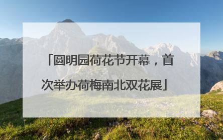 圆明园荷花节开幕，首次举办荷梅南北双花展