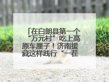 在白朗县第一个“万元村”吃上高原车厘子！济南援藏这样践行“一茬接着一茬干”