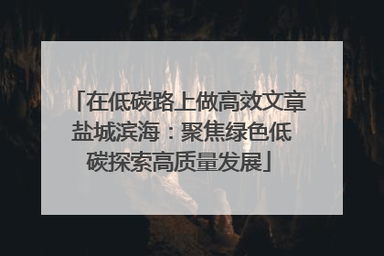 在低碳路上做高效文章 盐城滨海：聚焦绿色低碳探索高质量发展