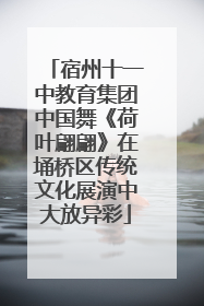宿州十一中教育集团中国舞《荷叶翩翩》在埇桥区传统文化展演中大放异彩